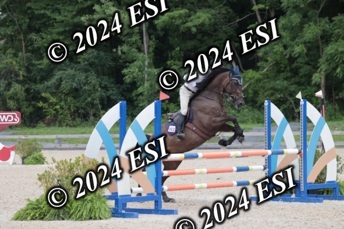 208SC1_1633