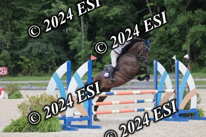 208SC1_1634