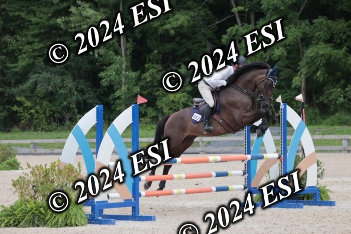 208SC1_1636