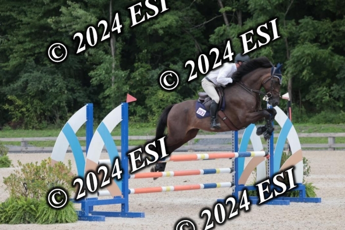 208SC1_1637