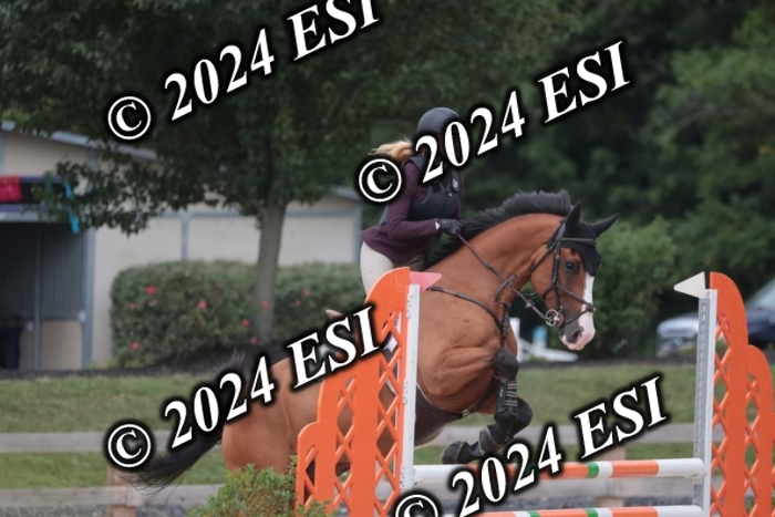 208SC1_1640