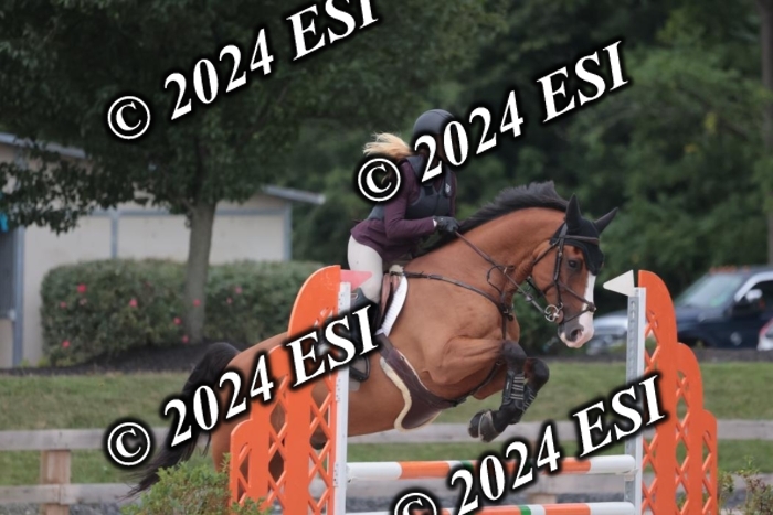 208SC1_1641