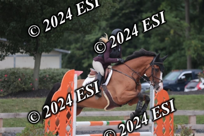 208SC1_1642