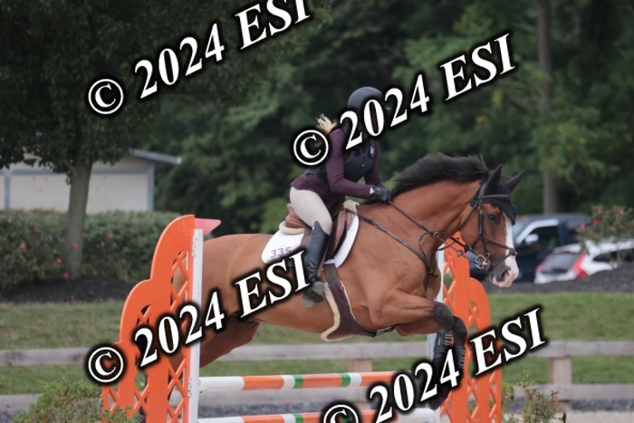 208SC1_1643