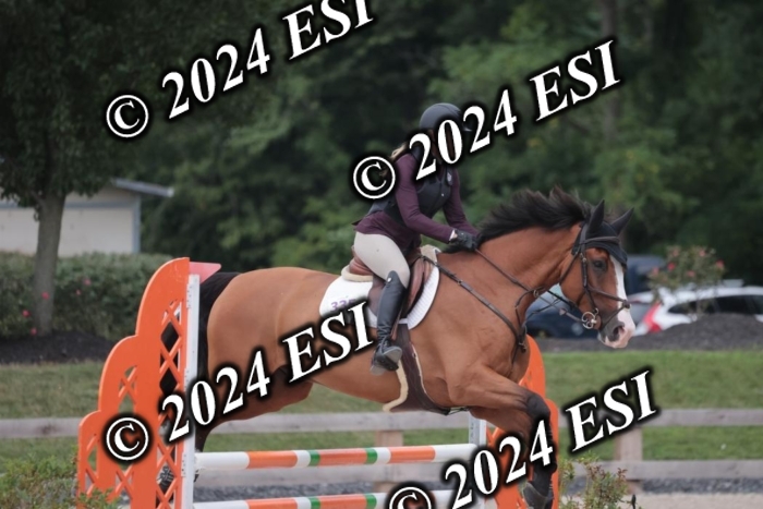 208SC1_1644