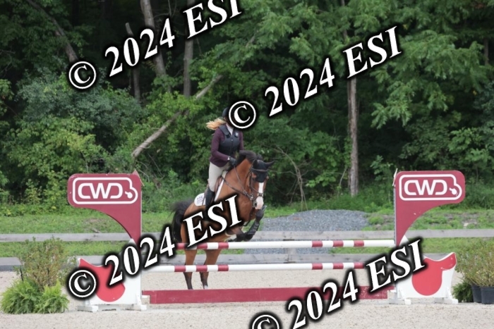 208SC1_1645