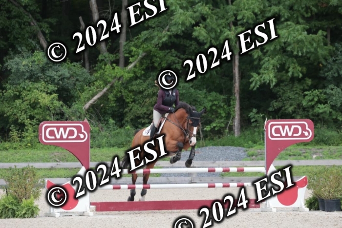 208SC1_1648