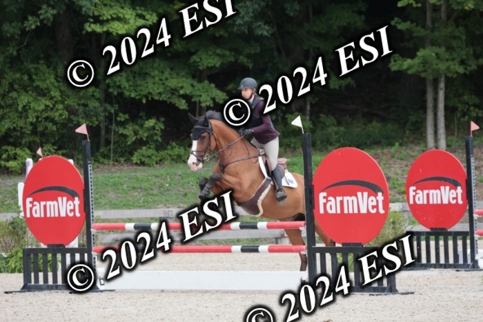 208SC1_1651