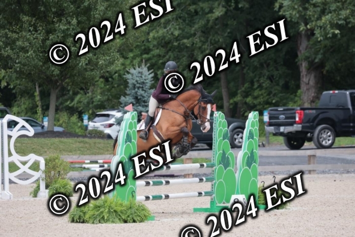 208SC1_1656