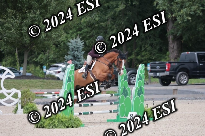 208SC1_1657