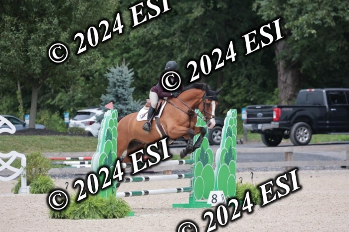 208SC1_1658
