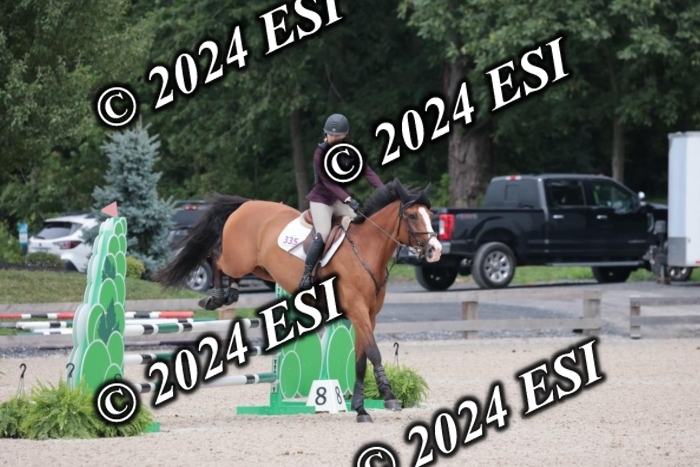 208SC1_1662