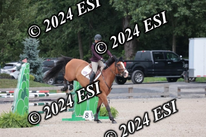 208SC1_1663