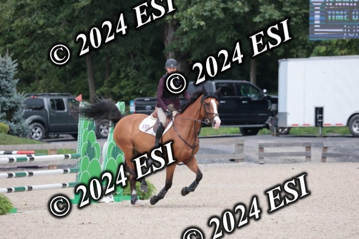 208SC1_1667