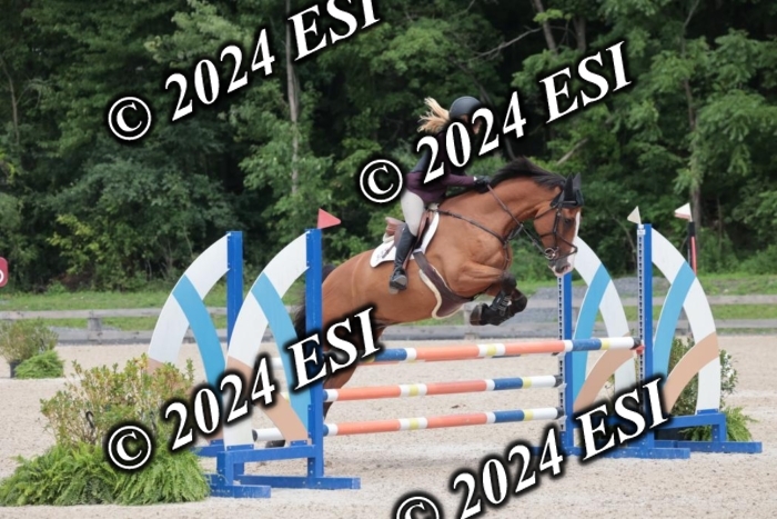 208SC1_1668