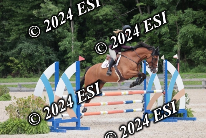 208SC1_1669