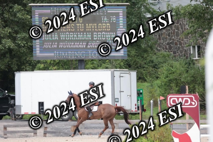 208SC1_1672