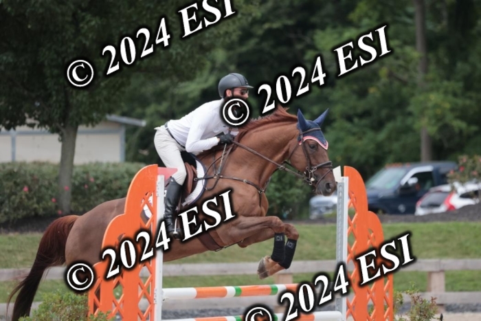 208SC1_1677