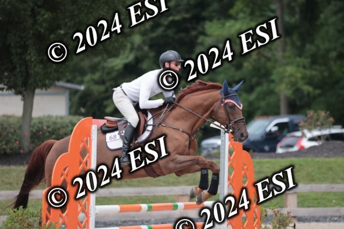 208SC1_1678