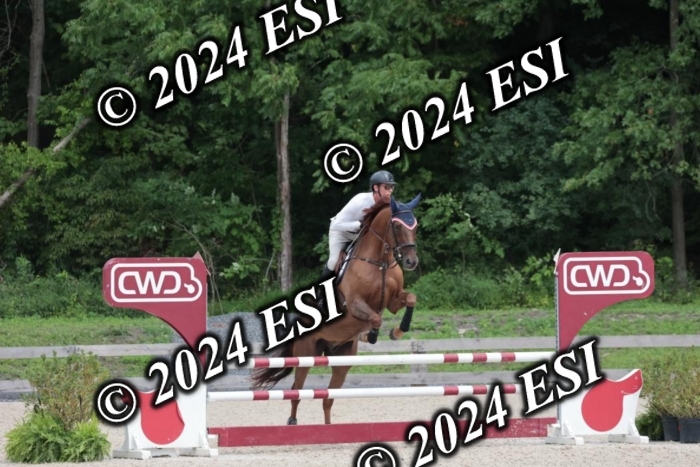 208SC1_1683
