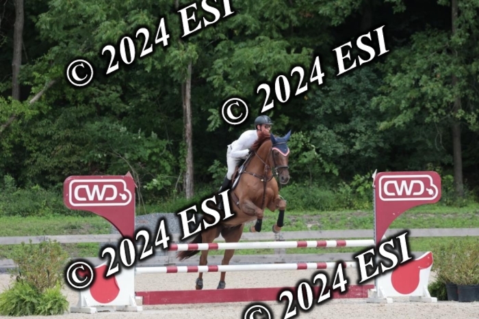 208SC1_1684
