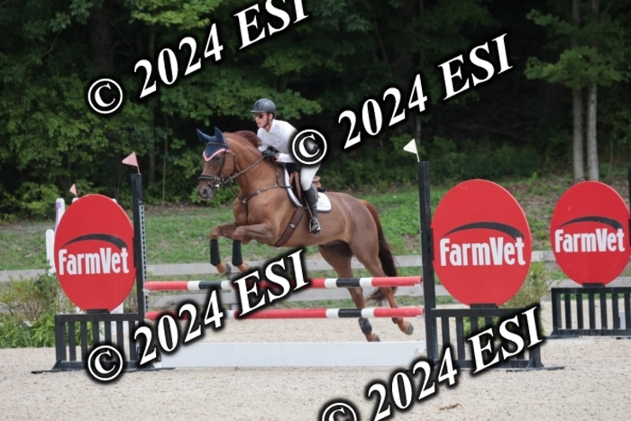 208SC1_1691