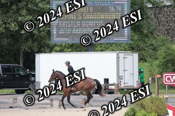 208SC1_1694