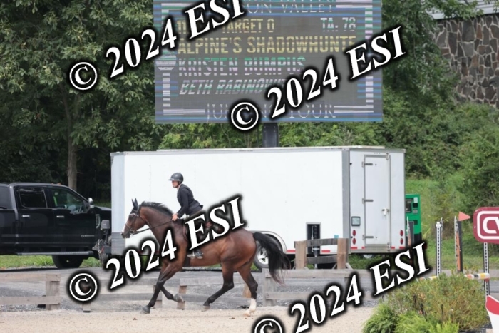 208SC1_1696