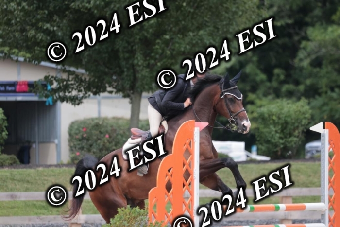 208SC1_1697