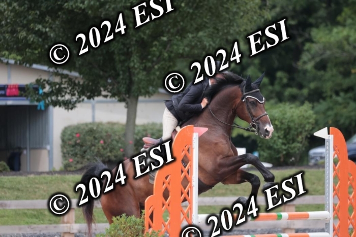 208SC1_1698