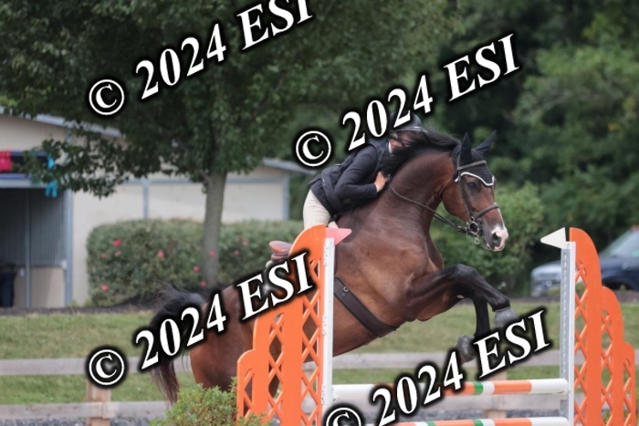 208SC1_1699