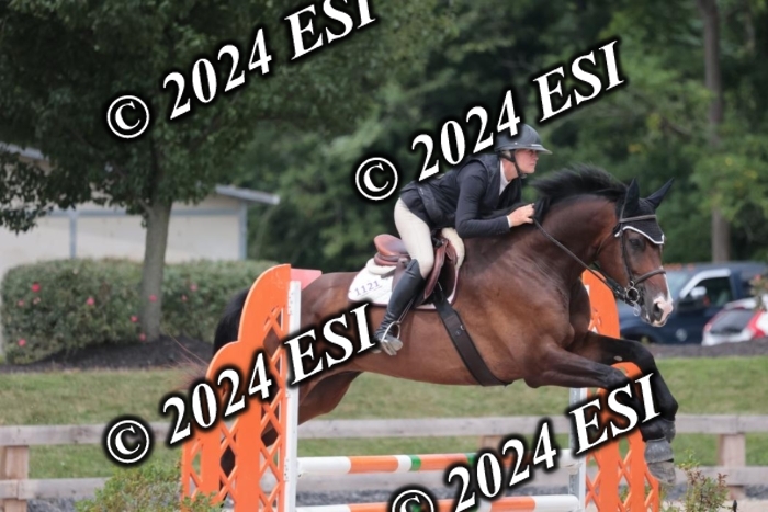 208SC1_1702