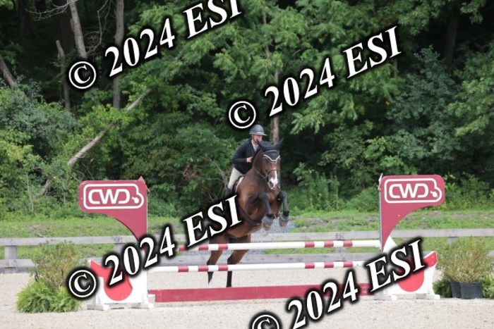 208SC1_1704