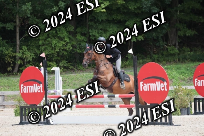 208SC1_1724