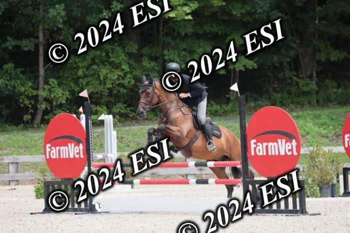208SC1_1725