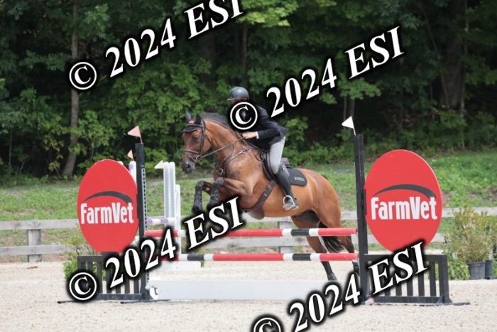208SC1_1726