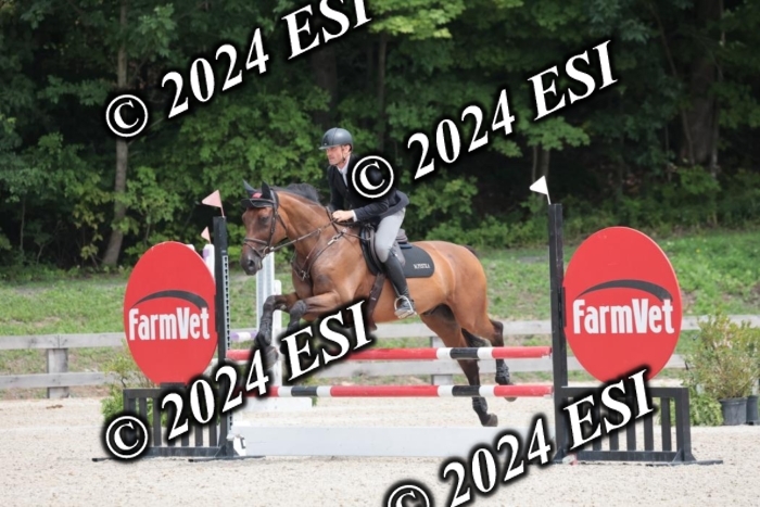 208SC1_1727