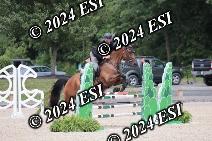 208SC1_1728