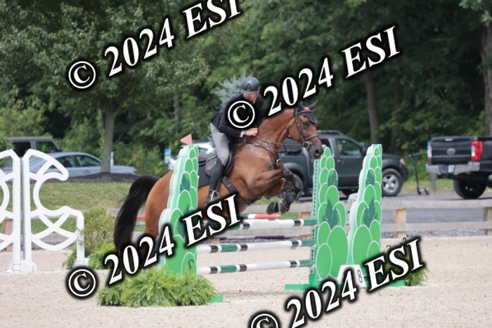 208SC1_1729