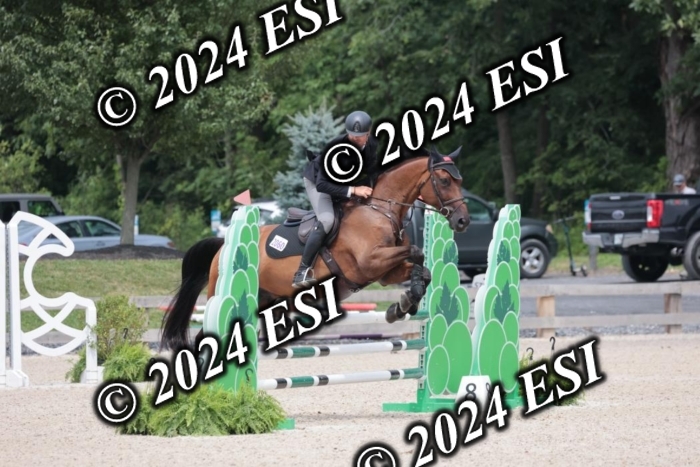 208SC1_1730