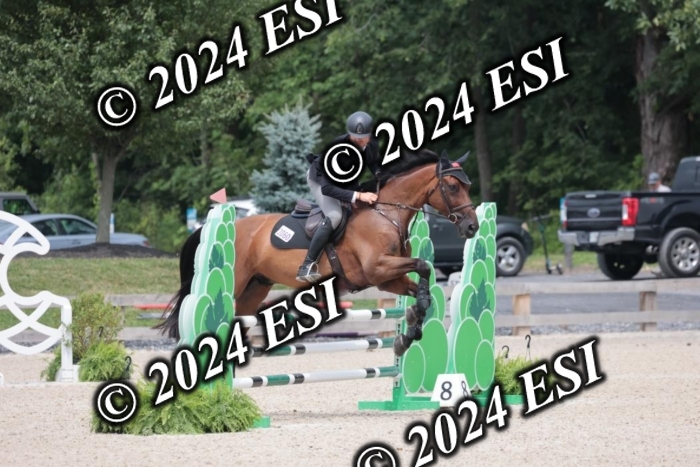 208SC1_1731