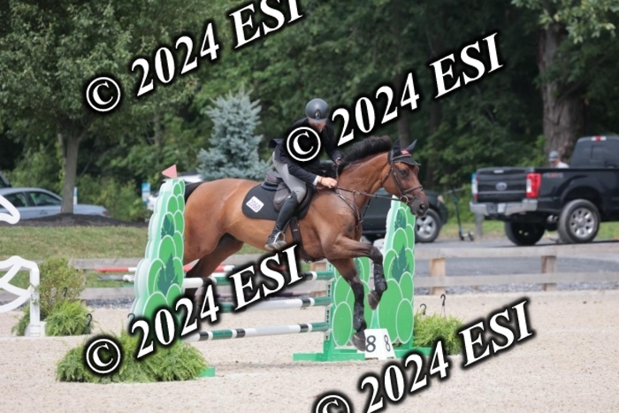 208SC1_1732