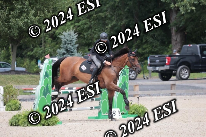 208SC1_1733