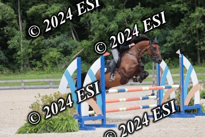 208SC1_1738