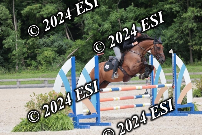208SC1_1739