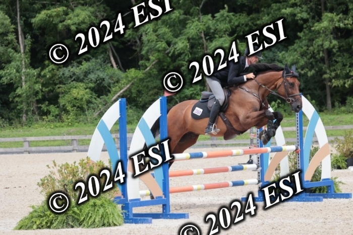 208SC1_1740