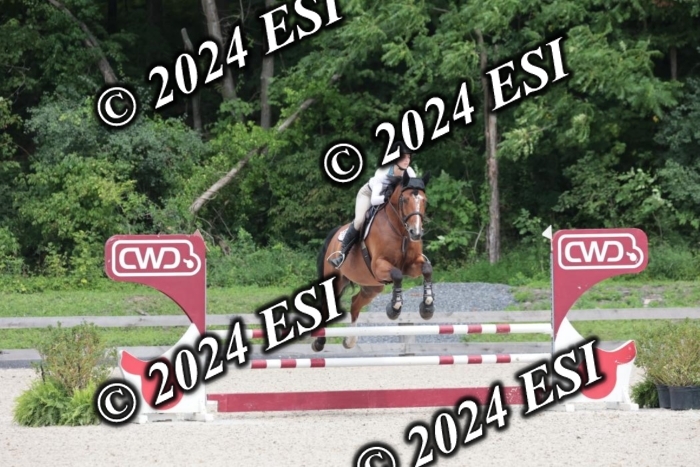 208SC1_1763