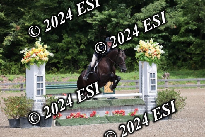 105SC1_4501