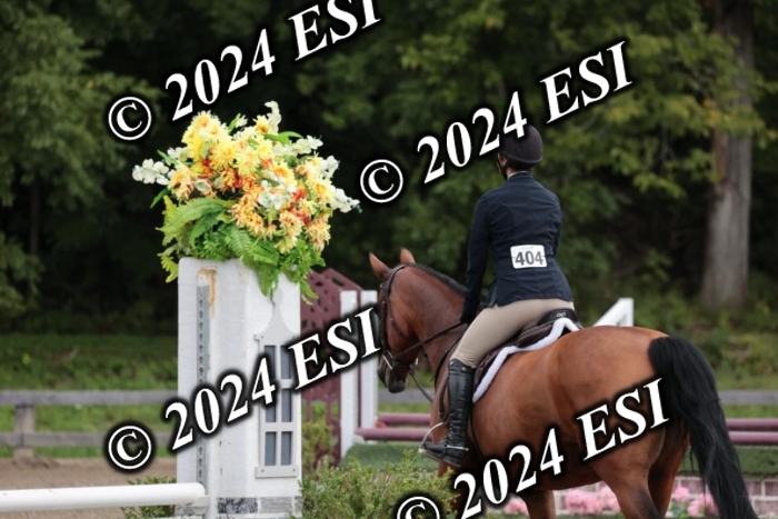 105SC1_4628