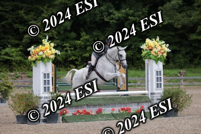 105SC1_4685